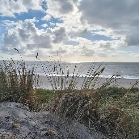 6 Person In Blavand-by Traum *